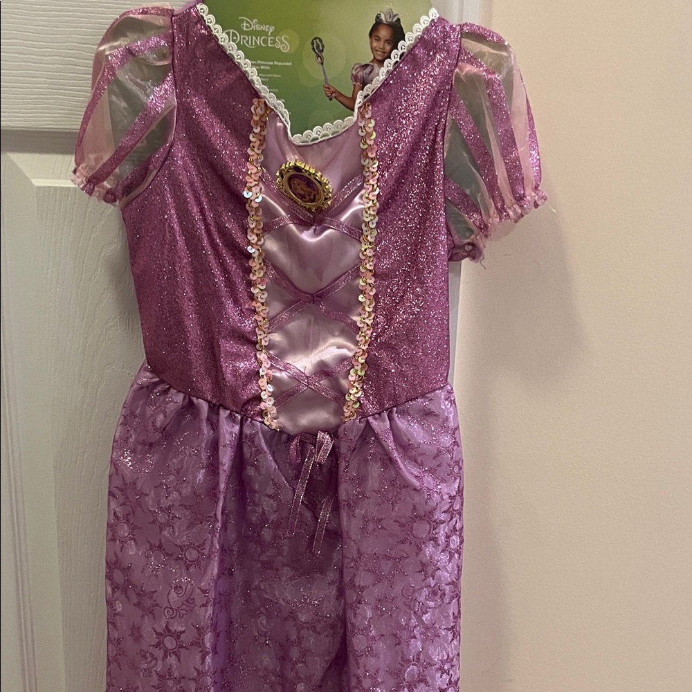 Disney Princess Rapunzel Kids Costume